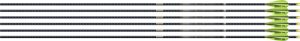 Easton 4mm EMJ Match Grade 340 Arrows 6-Pack with 3" AAE Hybrid Vanes