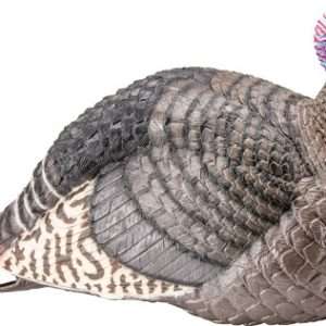 HS Strut Lite Jake Turkey Decoy - Lightweight Hunting Gear