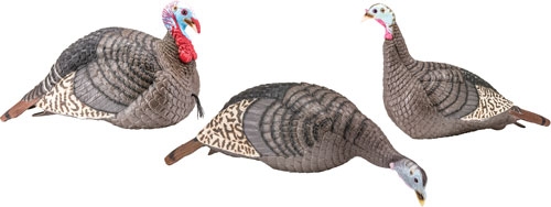 HS Strut Turkey Decoy Flock - Enhance Your Hunting Success