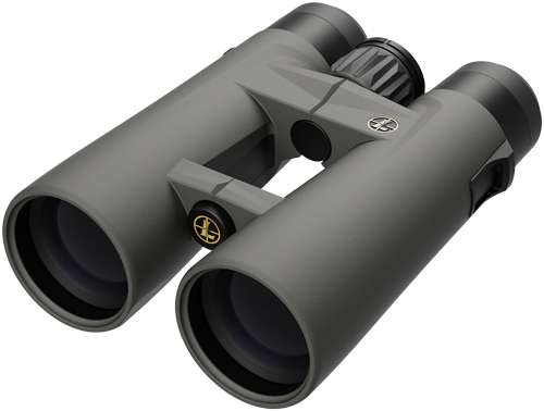 Leupold BX-4 Pro Binocular 10X42 Grey Roof