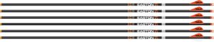 Easton Arrow 6.5mm Hunter Clsc 500 W/2" Bully Vanes 6-Pack