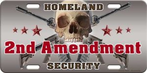2nd Amendment License Plate for Patriots