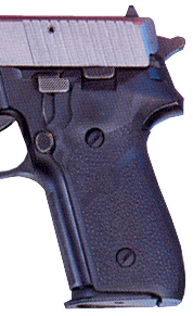Hogue Grips SIGarms P228 Black Rubber Panels