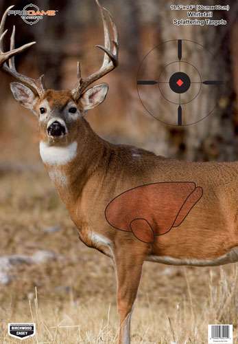 B/C Target Pregame 16.5"x24" Whitetail Deer - 3 Targets