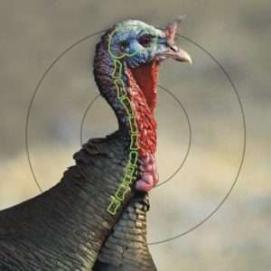 B/C Target Pregame 12"x18" Turkey 8 Targets
