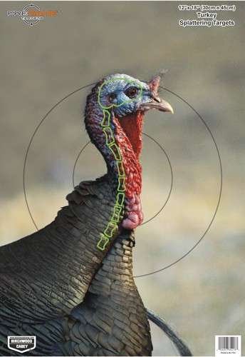 B/C Target Pregame 12"x18" Turkey 8 Targets