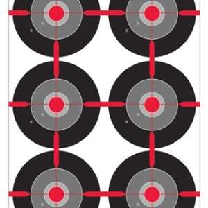 B/C TARGET DIRTY BIRD 12"X18" - Multiple Bull's-Eye Targets