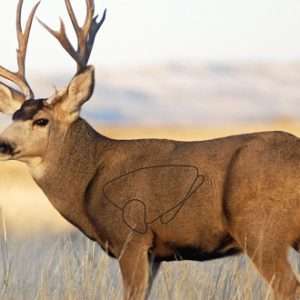 Mule Deer 2 Targets - Premium Quality, Versatile, Durable