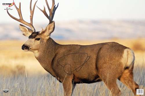 Mule Deer 2 Targets - Premium Quality, Versatile, Durable