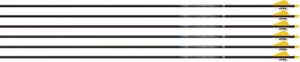 Easton Arrow Sonic 6.0 300 with 2" Bully Vanes 6-Pack