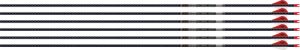 Easton Arrow 6-PACK with 2" Blazer Vanes