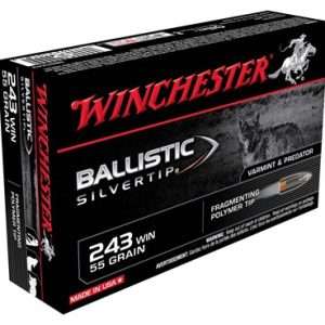 Winchester Supreme 243 Win 55 Grain Silver-Tip