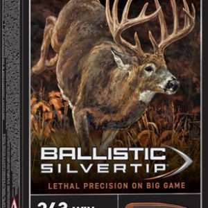 Winchester Supreme 243 Win 95gr Silver-Tip Ammo