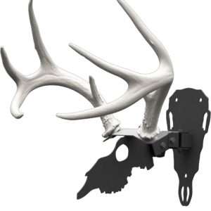 HS Shed Antler Mounting Kit - Premium Quality Display Stand