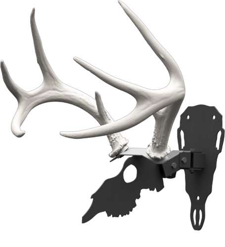 HS Shed Antler Mounting Kit - Premium Quality Display Stand