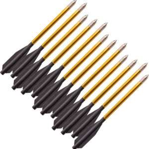 Bear-X Desire Crossbow Bolts 12-Pack, 20" 400 Grains