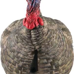 Avian X LCD Quarter Strut Jake Decoy - Lightweight at 2 lbs