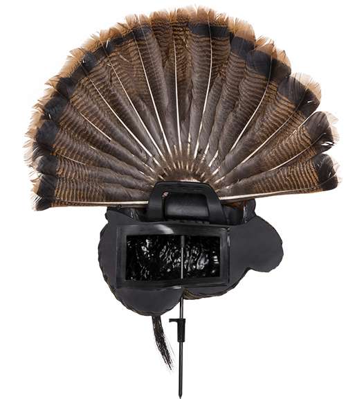 Avian X Trophy Tom Decoy - Realistic Turkey Hunting Decoy
