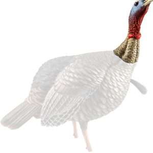 Avian X HDR Jake Decoy - Premium Hunting Decoy