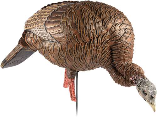 Avian X HDR Feeding Hen Decoy - Enhance Your Hunting Success