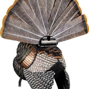 Avian X HDR Strutter Decoy - Realistic, Durable, Effective