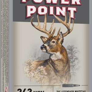 Winchester Super-X 243 Win 100GR Power Point 20RD