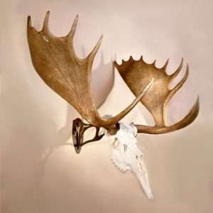 Robust Brown Trophy Mounting Kit - Premium Quality