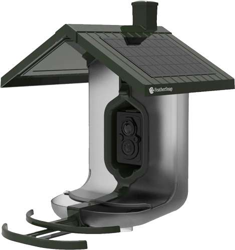 Feathersnap Scout Birdfeeder with Wi-Fi Camera
