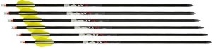 20" Aluminum Alpha Nock 6PK - 435 Grains