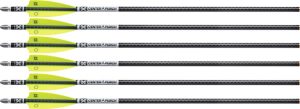 TenPoint Xbow Arrow 20" EVO-X with Center Punch Alpha Nock HP