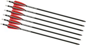 TenPoint Xbow Arrow 16" EVO-X Center Punch Alpha Nock HP