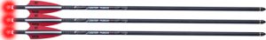 ARROW ALPHA-BLAZE HPX 3PK - Precision Archery Arrows