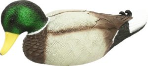 Mojo Rippler Mallard Drake Decoy for Enhanced Duck Hunting