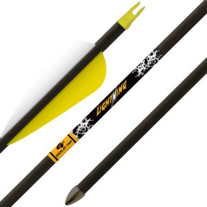 Gold Tip Arrow Lightning Youth 28" Vane Tec Glued-In Point
