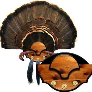 Mountain Mike's Beard Master Trophy Mounting Kit - Turkey Plaque Kit