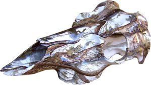 Mountain Mike's Snow Camo Deer Skull Master Kit - Premium Quality Trophy Display