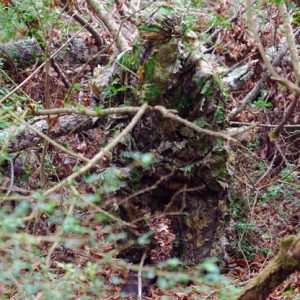 Obsession NWTF 2/3XL Pants/Top Lightweight Camouflage Suit