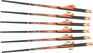 Ravin Xbow Arrow Carbon 2" Offset Vanes