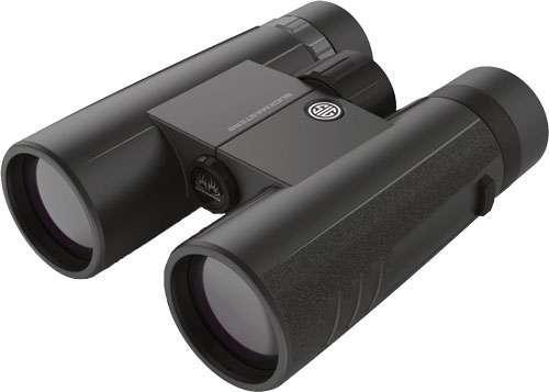 Sig Optics 10x42 Binocular with Buckmasters Roof Prism Black