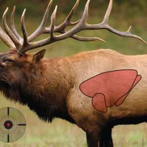 Elk Target 16.5"x24" - Realistic Full-Color Bullet Hole Splatter Target