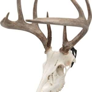 ALLEN EZ MOUNT SKULL PEG 3-PACK DEER/ANTELOPE