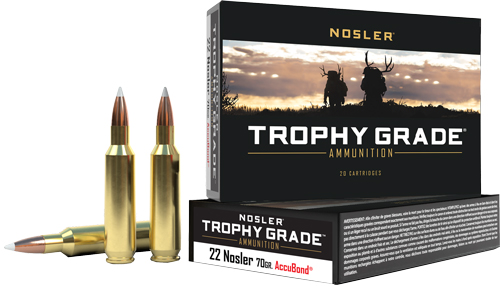 NOSLER TROPHY GRADE 22CM 70GR ACCU TIP 20RD 10BX/CS