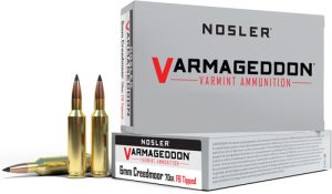 NOSLER VARMAGEDDON 6MM CM 70GR FBT 20RD 10BX/CS