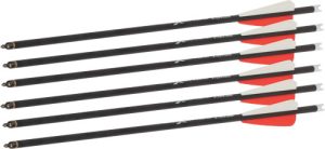 BEAR-X TRUEX MAX CROSSBOW BOLTS 6PK