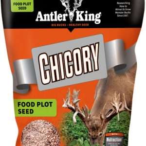 ANTLER KING CHICORY 1# BAG PERENNIAL 1/4 ACRE