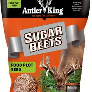 ANTLER KING SUGAR BEETS 1# BAG ANNUAL 1/8 ACRE