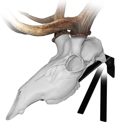 MOUNTAIN MIKE'S ELK POSITIONER ! - Image 2
